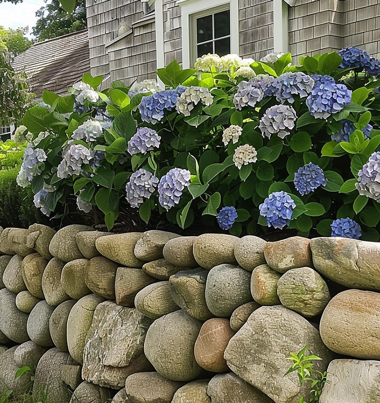 New England round wallstone, a natural stone with a smooth, rounded shape and variations in color, perfect for creating unique and long-lasting retaining walls, raised garden beds, and other outdoor structures.